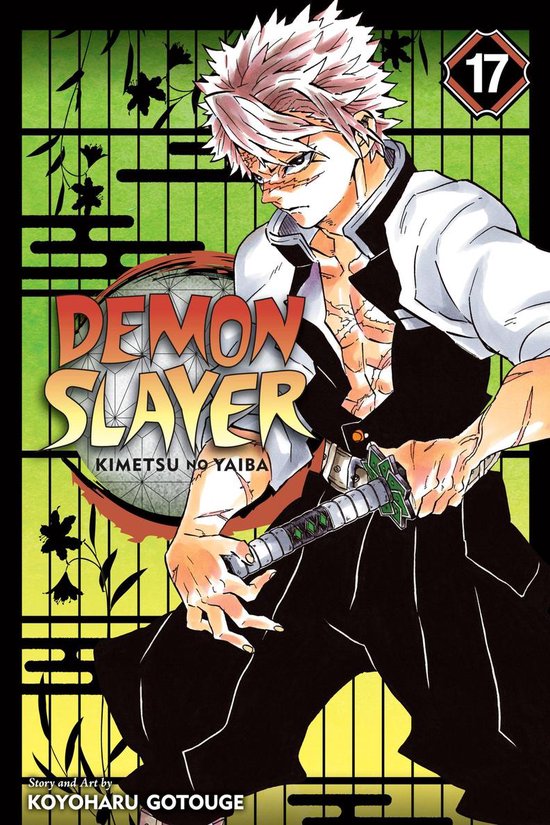 Demon Slayer Engels Volume 17 Cover